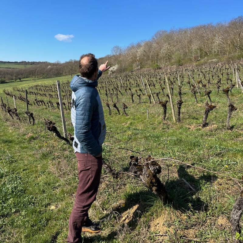 Bourgogne La Combe